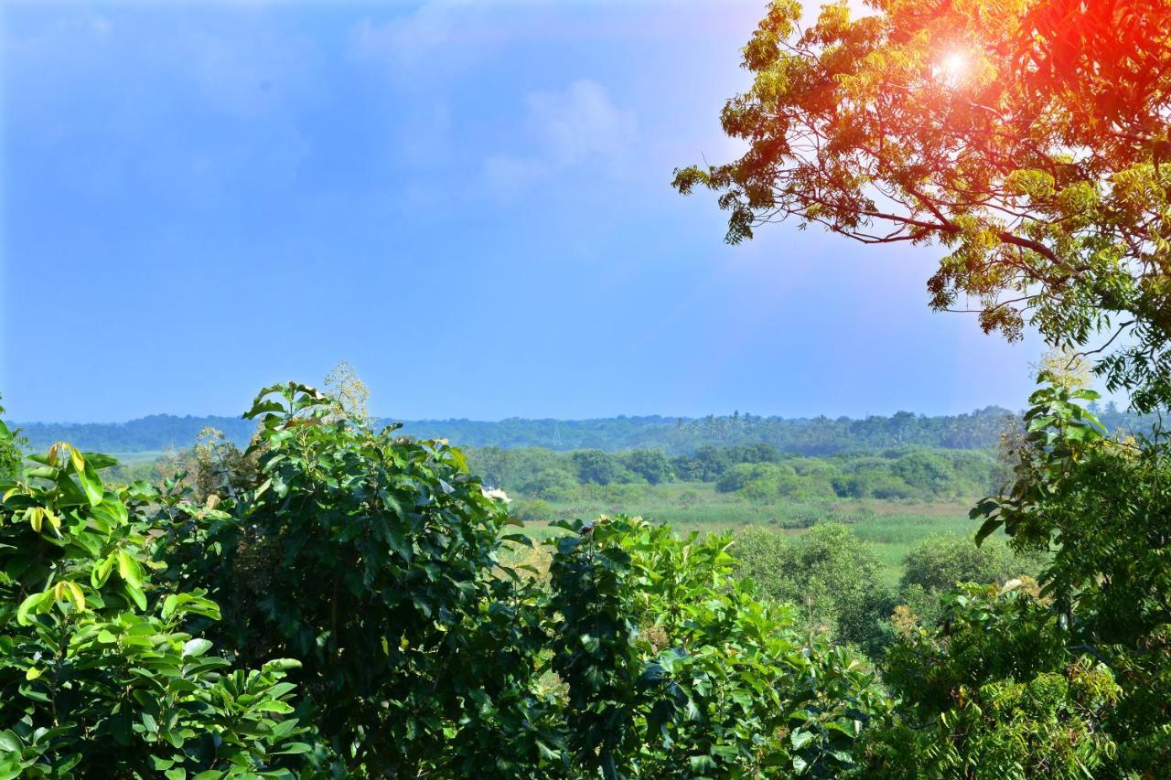 Randu Homestay And Restaurant Тангалле Екстер'єр фото